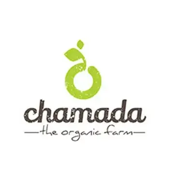 Displaying a variety of professionally crafted logos.
                                                    